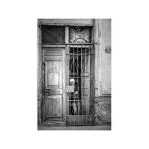 01Cuba18_04_Watching_Laura_DeNardo_opt_800